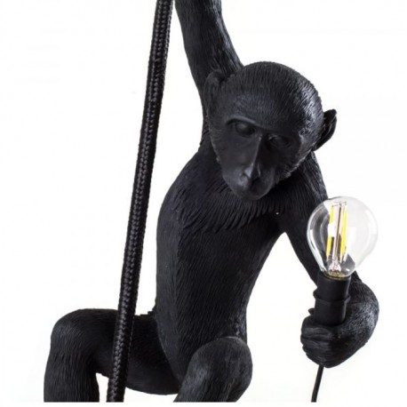 The Monkey (suspendu main droite)
